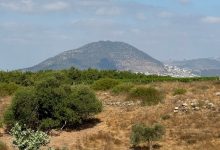 Photo of حالة الطقس: ارتفاع تدريجي على درجات الحرارة اعتبارا من الخميس