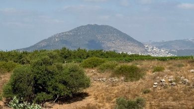 Photo of حالة الطقس: ارتفاع تدريجي على درجات الحرارة اعتبارا من الخميس
