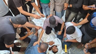 Photo of الصحة في غزة: 13 شهيدًا و18 إصابة في 24 ساعة