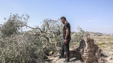 Photo of أوامر عسكرية إسرائيلية بأثر رجعي لابتلاع أراضي الضفة الغربية