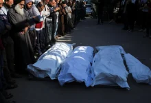 Photo of صحة غزة: 4 شهداء و28 إصابة خلال 24 ساعة وحصيلة العدوان ترتفع إلى 73,250 شهيدًا