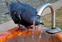 Photo of ارتفاع تدريجي على درجات الحرارة.. وموجة حارة تضرب البلاد ابتداءً من الأحد