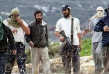 Photo of أكثر من 16 هجوماً خلال يوم.. تصعيد واسع لاعتداءات المستوطنين في الضفة الغربية