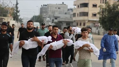 Photo of صحة غزة: 16 شهيدًا و16 إصابة خلال 48 ساعة وحصيلة العدوان ترتفع إلى 73,090 شهيدًا
