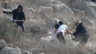 Photo of إصابات خلال هجوم لمستوطنين على فلسطينيين ومتضامنين شمال شرق رام الله