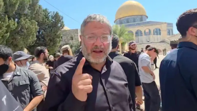 Photo of بعد التماس جمعية مهتمة بالحيوان.. محكمة توقف خطة بن غفير لإقامة “سجن التماسيح” (فيديو)