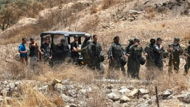Photo of دعوات لإقالة صحفي إيطالي برر الهجمات في الضفة ووصف المستوطنين بـ”المتنزهين” (فيديو)