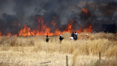 Photo of الضفة: 2256 اعتداء للجيش الإسرائيلي والمستوطنين في تموز/ يوليو