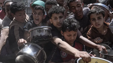 Photo of الأمم المتحدة: 10% من سكان غزة يقتربون من حافة المجاعة