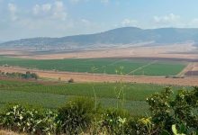 Photo of حالة الطقس: تواصل ارتفاع درجات الحرارة حتى الأربعاء