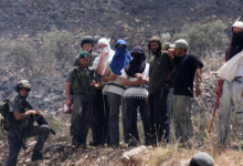 Photo of تصاعد اعتداءات المستوطنين في الضفة 63% خلال 7 أشهر