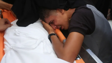 Photo of 8 شهداء بغزة ومظاهرات إسرائيلية قرب القطاع ضد إدخال المساعدات إليه (شاهد)