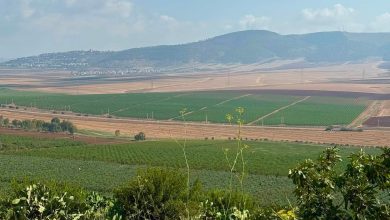 Photo of حالة الطقس: تواصل ارتفاع درجات الحرارة حتى الأربعاء