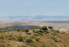 Photo of حالة الطقس: موجة حر متوسطة في الأيام المقبلة