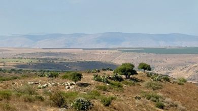 Photo of حالة الطقس: موجة حر متوسطة في الأيام المقبلة