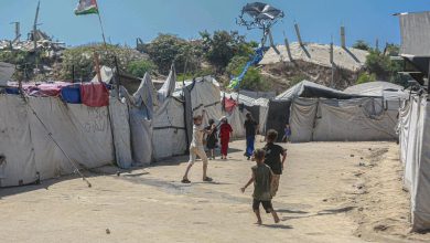 Photo of الطائرات الورقية من غزة… تل أبيب تبحث عن ذرائع للحرب