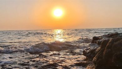 Photo of طقس صيفي معتدل اليوم وارتفاع تدريجي على درجات الحرارة خلال الأيام المقبلة