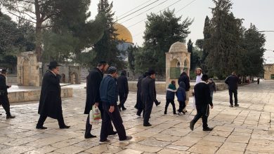 Photo of 178 مستوطنًا يقتحمون الأقصى بحماية شرطة الاحتلال