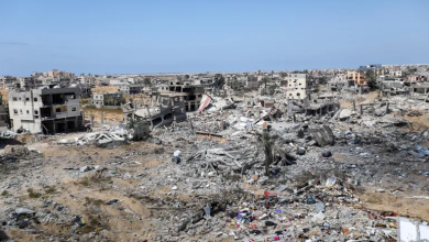 Photo of القوارض “تغزو” مواقع عسكرية إسرائيلية ومستوطنات محاذية لقطاع غزة