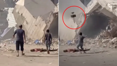 Photo of كيف اغتالت صواريخ الاحتلال الإسرائيلي نخوة طفل في غزة؟ (شاهد)