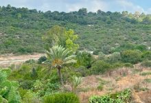Photo of حالة الطقس: استمرار الأجواء الحارة