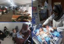 Photo of مستشفى الرنتيسي بغزة: قسم الحضانات شبه متوقف بسبب الحصار
