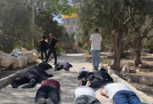 Photo of ماذا يعني “السجود الملحمي” بالمسجد الأقصى ورفع سعف النخيل؟ (شاهد)
