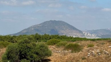 Photo of حالة الطقس: أجواء حارة