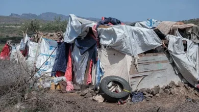 Photo of الأمم المتحدة: نزوح 125 ألف شخص جراء التصعيد باليمن منذ بداية أيلول