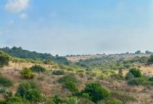 Photo of حالة الطقس: أجواء صيفية اعتيادية