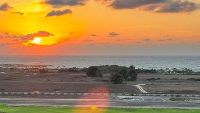 Photo of حالة الطقس: غائم جزئيا إلى صاف