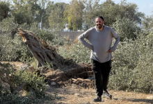Photo of اللقاء الأخير.. فلسطينيون يقطفون ثمار زيتون اقتلعته جرافات الاحتلال (شاهد)