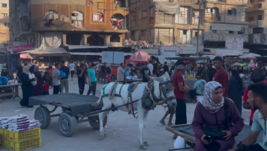 Photo of رغم كلفته الباهظة.. الحمار وسيلة التنقل الأبرز في غزة (شاهد)
