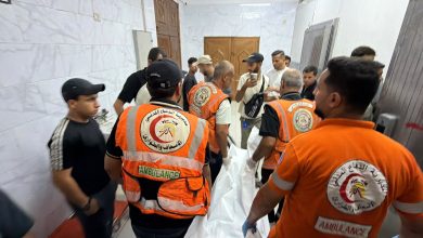 Photo of 8 شهداء وإصابات في قصف وإطلاق نار إسرائيلي متواصل على غزة
