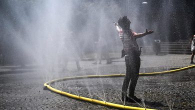 Photo of ألمانيا تسجل أعلى حصيلة وفيات مرتبطة بالحرارة خلال موجات الحر هذا الصيف
