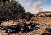 Photo of دعوى في فرنسا تتهم الجيش الإسرائيلي باقتلاع 600 شجرة زيتون معمّرة في جنوب لبنان