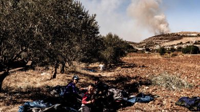Photo of دعوى في فرنسا تتهم الجيش الإسرائيلي باقتلاع 600 شجرة زيتون معمّرة في جنوب لبنان