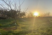 Photo of انخفاض تدريجي على درجات الحرارة حتى منتصف الأسبوع