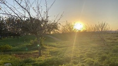 Photo of انخفاض تدريجي على درجات الحرارة حتى منتصف الأسبوع