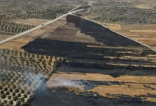 Photo of مزارع استيطانية تسيطر على أكثر من مليون دونم في الضفة الغربية