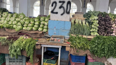 Photo of 7 سنوات من حكم قيس سعيد.. ماذا تحقق من الوعود الاقتصادية للتونسيين؟
