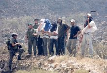 Photo of اعتداءات واسعة للمستوطنين على قاطفي الزيتون وخطوط الكهرباء