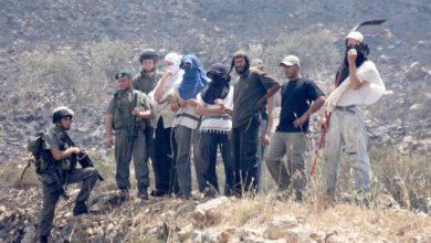 Photo of اعتداءات واسعة للمستوطنين على قاطفي الزيتون وخطوط الكهرباء