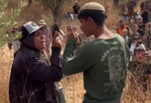 Photo of جرافة وفتوى ومستوطنة.. حرب ثلاثية على زيتون الضفة (شاهد)