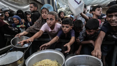Photo of غزة أمام شبح مجاعة جديدة.. الأغذية العالمي يقلص مساعداته إلى القطاع (صور)