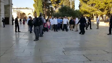 Photo of 1000 مبعد.. هذا ما فعله تغييب المصلين والمرابطين عن المسجد الأقصى (شاهد)