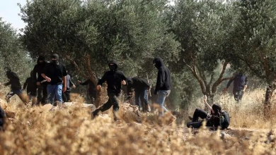 Photo of العفو الدولية: تل أبيب تستخدم عنف المستوطنين أداة للتطهير العرقي بالضفة