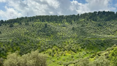 Photo of حالة الطقس: انخفاض ملموس على الحرارة وأمطار متفرقة