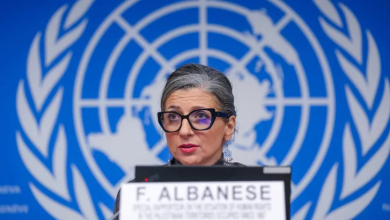 Photo of بمعدل 21 خبرا يوميا.. ألبانيزي: الإعلام الإسرائيلي حرّض على الإبادة في غزة