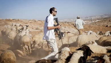 Photo of أغنام المستوطنين أداة للتوسع الاستيطاني!.. تقرير أمريكي يكشف التفاصيل (فيديو)